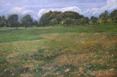 A Field of Autumn Crocus by Karl Mediz